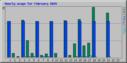 Hourly usage for February 2025