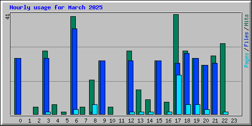 Hourly usage for March 2025