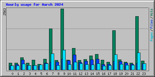 Hourly usage for March 2024
