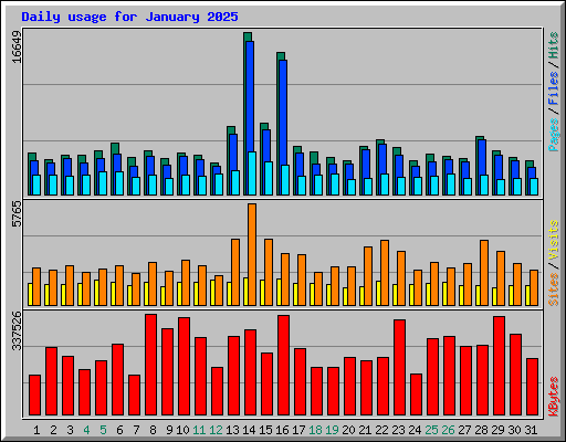 Daily usage for January 2025