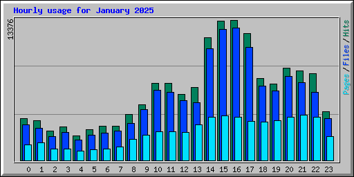 Hourly usage for January 2025