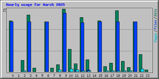 Hourly usage for March 2025