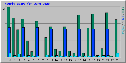 Hourly usage for June 2025